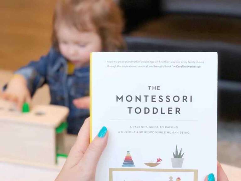 Montessori Book Recommendations: Learn More About a Montessori Education