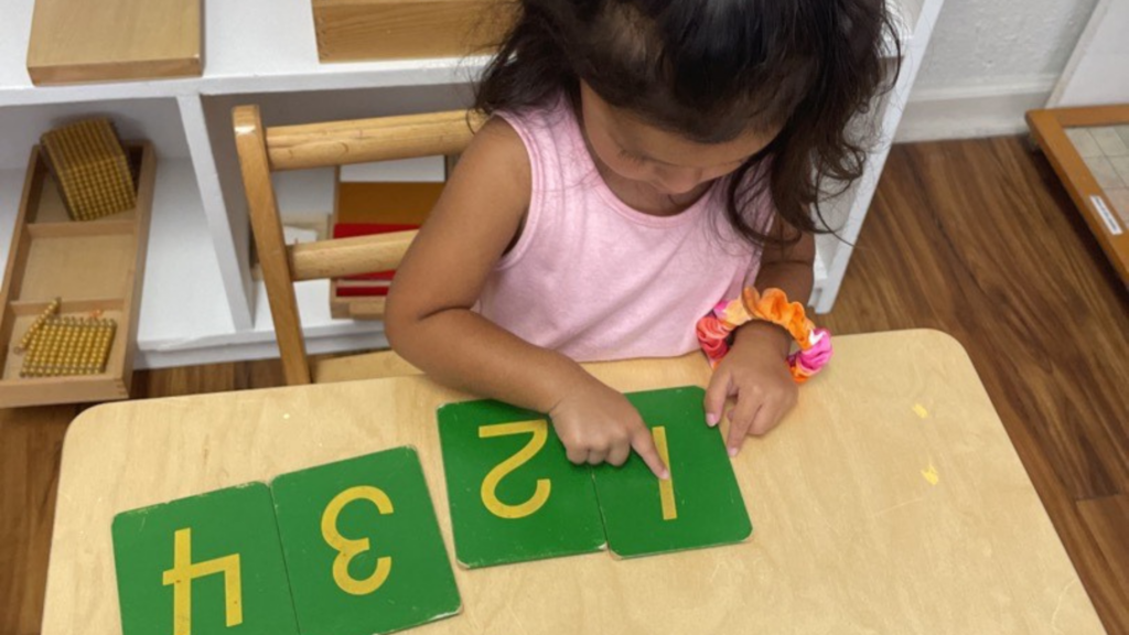 Montessori featured image-Practical Activities in the Montessori calssroom