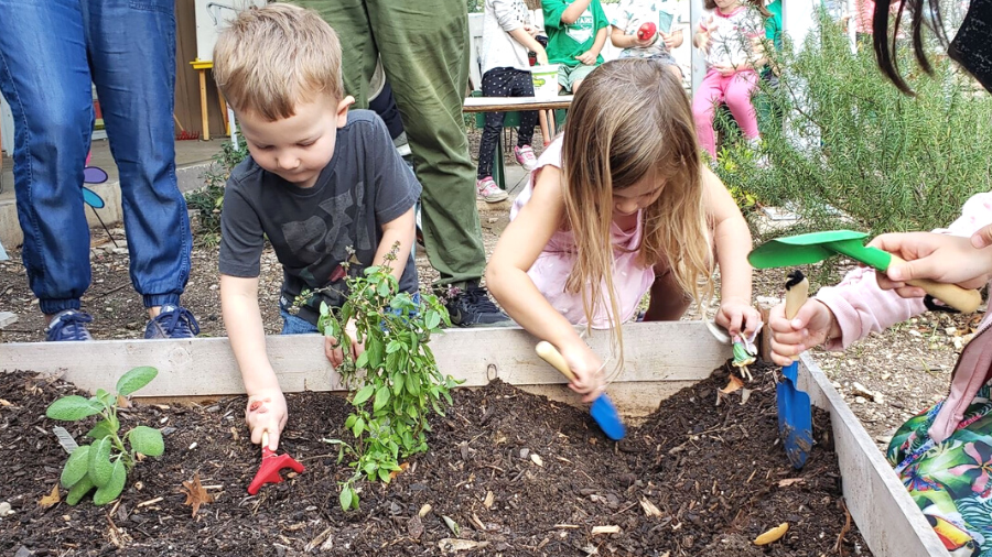 montessori students learning practical life activities such as watering a garden