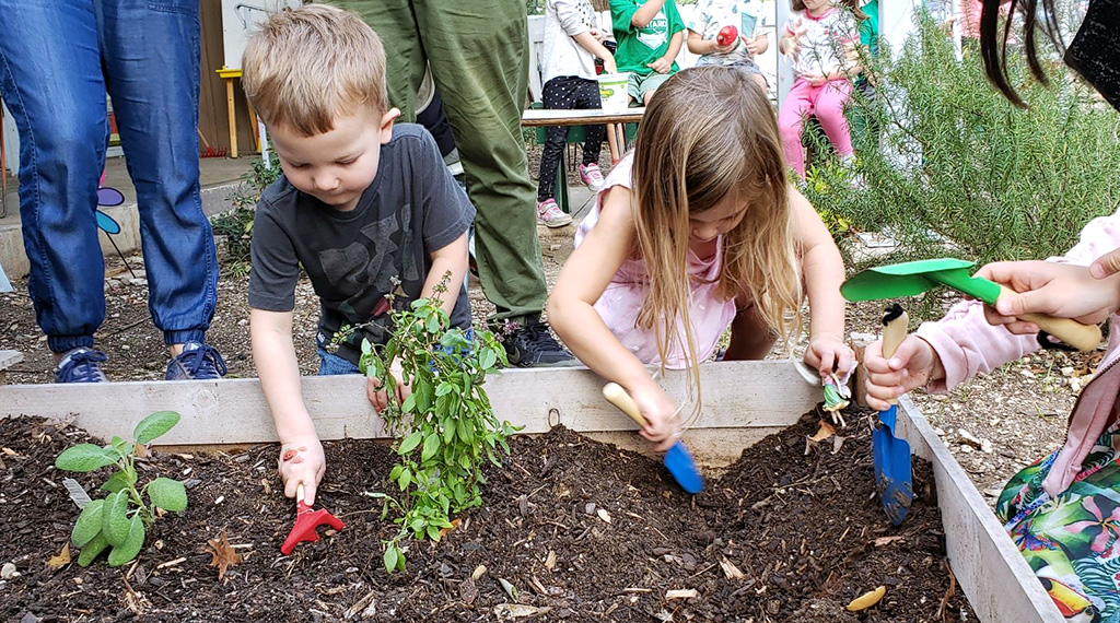 children gardening in a montessori school in austin